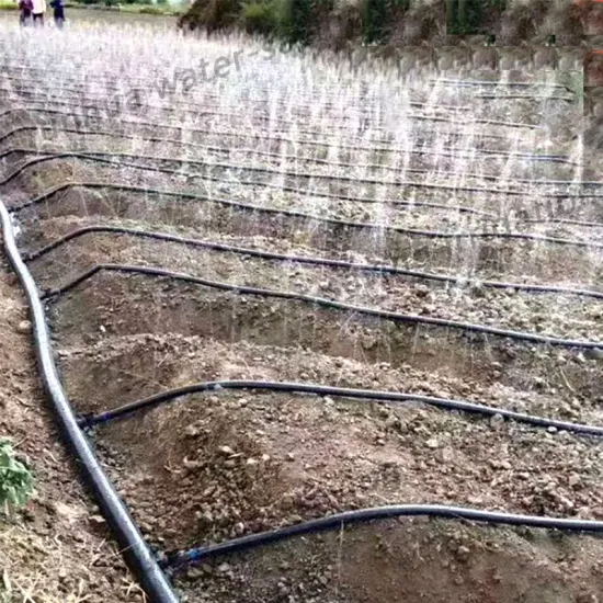 Gartenwasserschlauch Maßgeschneiderter 5-Loch-Sprinklerwasserschlauch